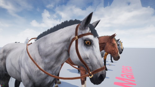 UnrealEngine - Horse Animset