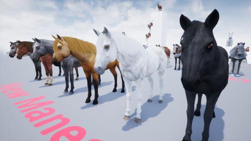 UnrealEngine - Horse Animset