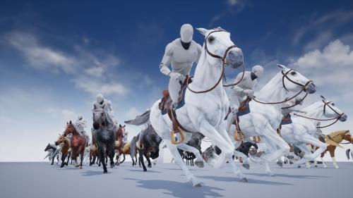 UnrealEngine - Horse Animset