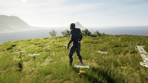 UnrealEngine - [UE4] Interactive Foliage pickup system V1