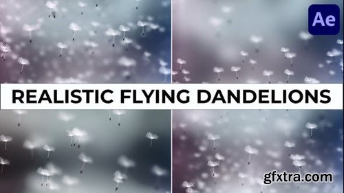 Videohive Realistic Flying Dandelions for After Effects 52661156