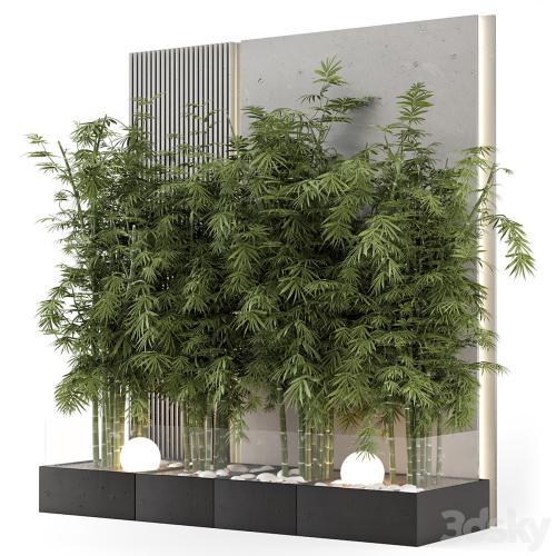 Indoor Wall Bamboo Garden in Concrete Base - Set 1529