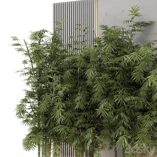 Indoor Wall Bamboo Garden in Concrete Base - Set 1529