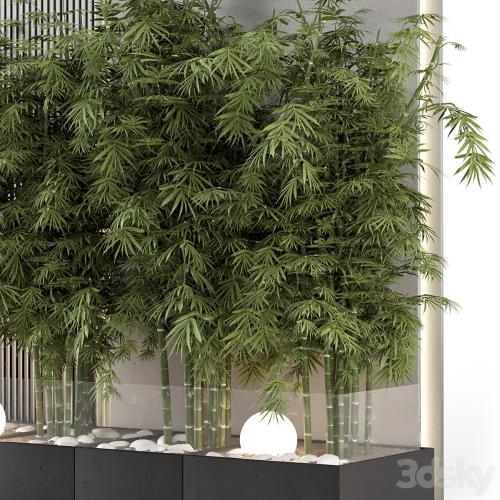 Indoor Wall Bamboo Garden in Concrete Base - Set 1529