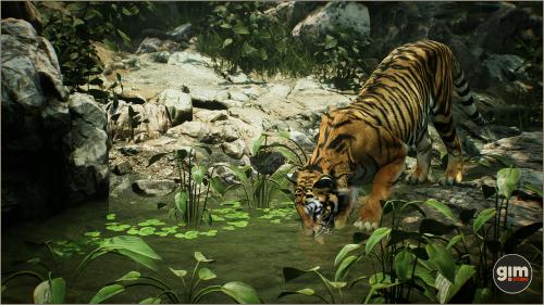 UnrealEngine - Animalia - Tiger (male)