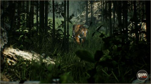 UnrealEngine - Animalia - Tiger (male)