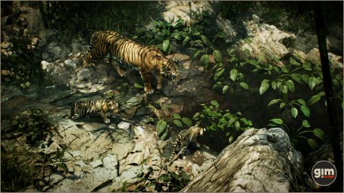 UnrealEngine - Animalia - Tiger (male)