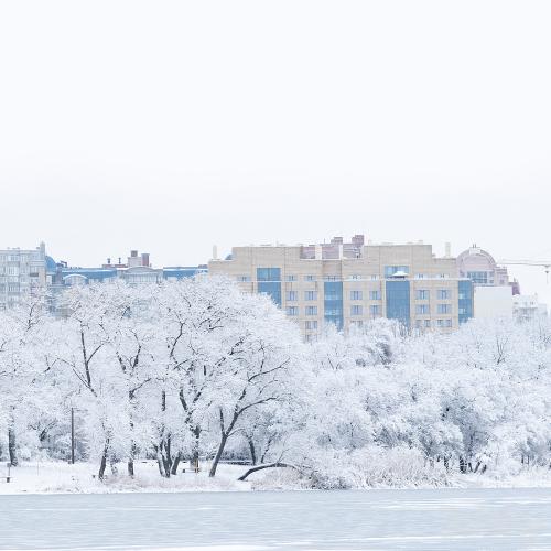 Winter panorama