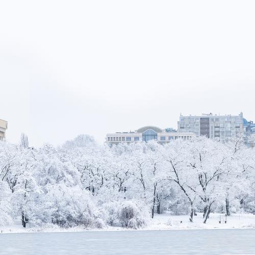 Winter panorama