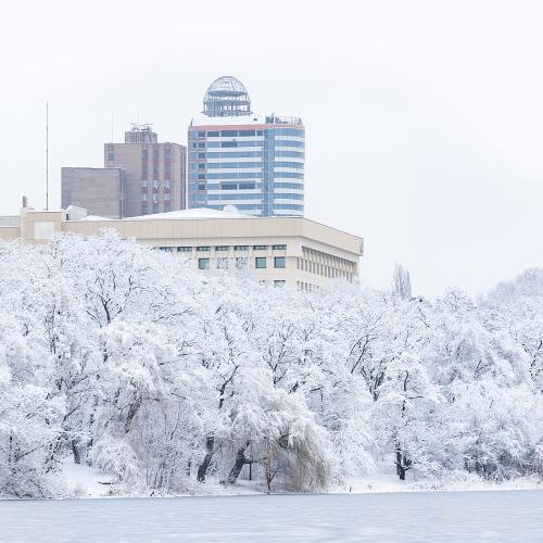 Winter panorama