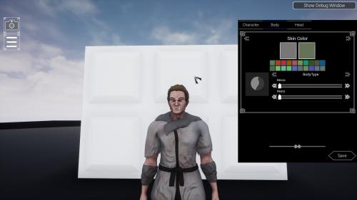 UnrealEngine - RPG Character Generation and Inventory System