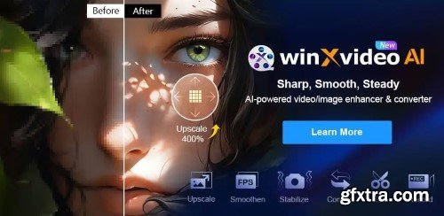 Digiarty Winxvideo AI 3.0