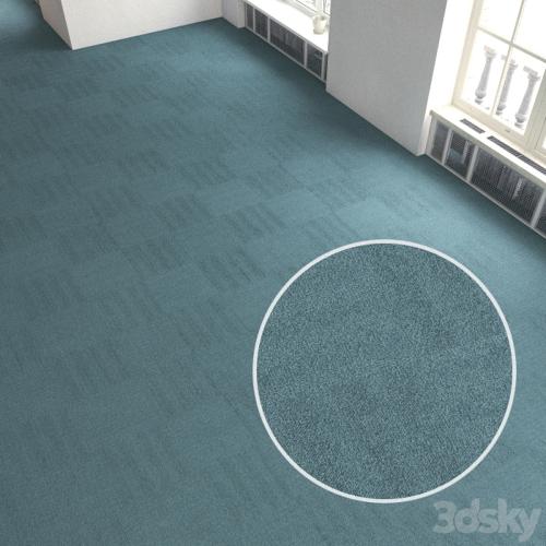 Carpet covering 209