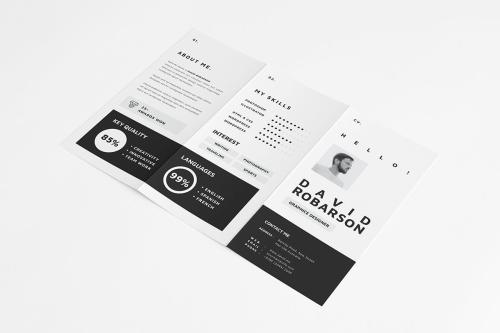 Brochure &ndash; Resume Trifold