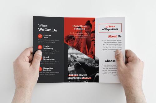 Business Trifold Brochure