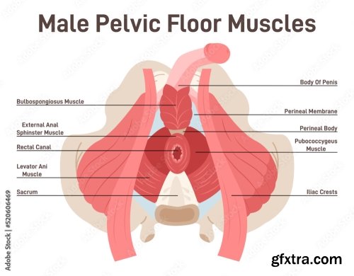 Anatomy 10xAI