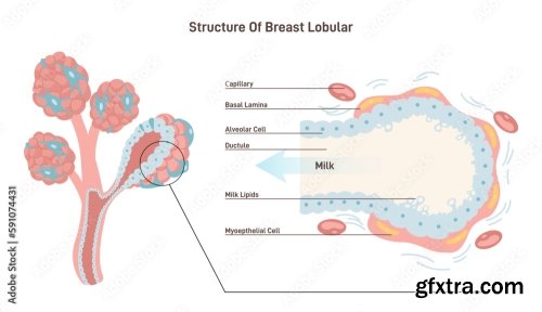 Anatomy 10xAI