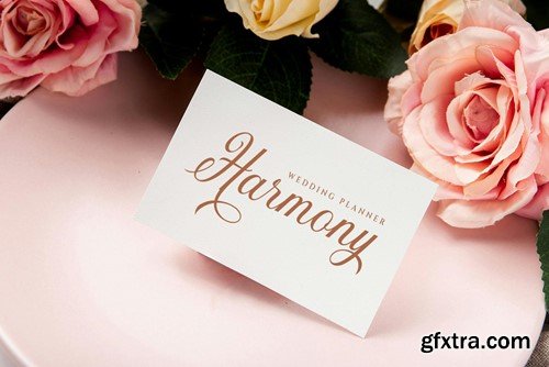 Haimonty Modern Script Font 682L6T6