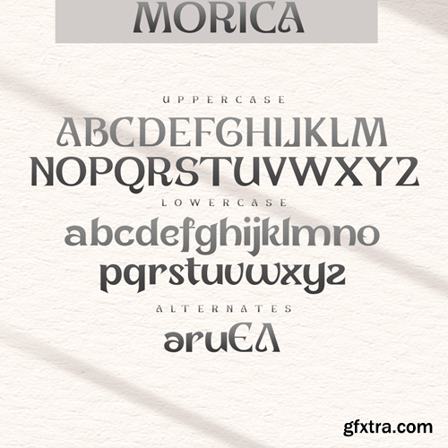 Morica - Unique Display Font L8NSZ3V