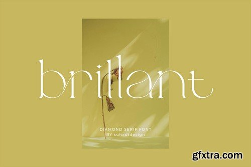 Brillant - Stylish Ligature Serif 69H5ZCB