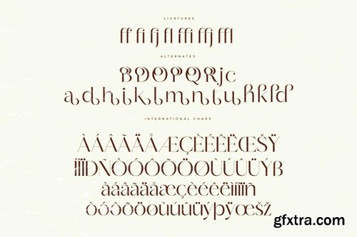 Quorina Modern Serif Font WH7HYKA