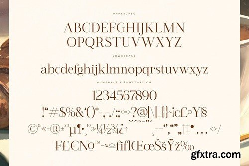Coffica Vibes Modern Serif Font DWJX6MF