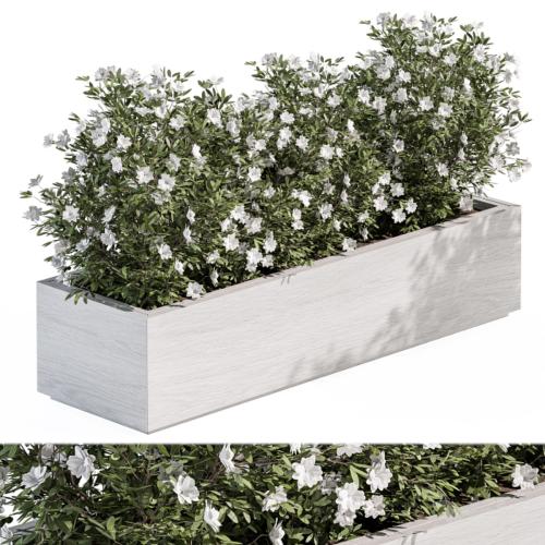 Outdoor Plant Set 304 - Plant Box