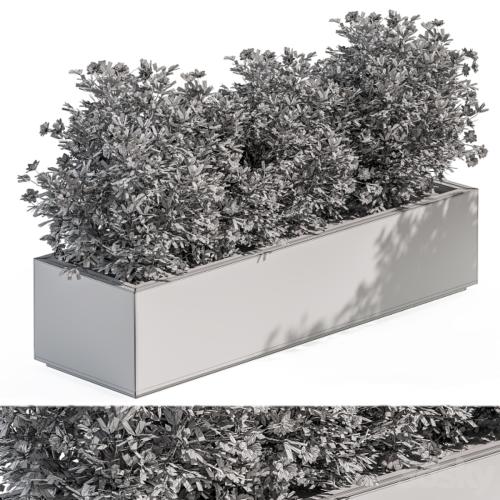 Outdoor Plant Set 304 - Plant Box