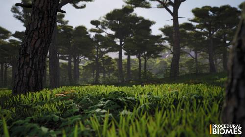 UnrealEngine - Procedural Biomes