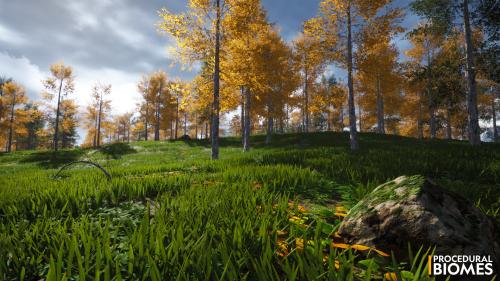 UnrealEngine - Procedural Biomes