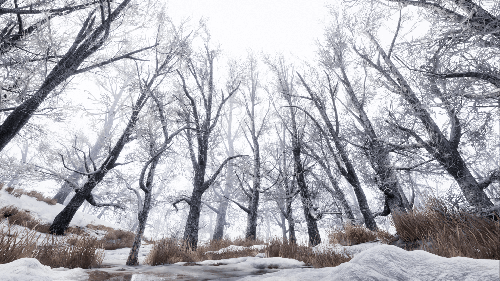 UnrealEngine - Winter Forest