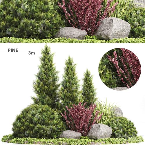 Set Plants 223 - Outdoor Garden