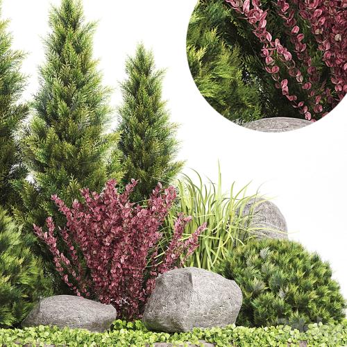 Set Plants 223 - Outdoor Garden