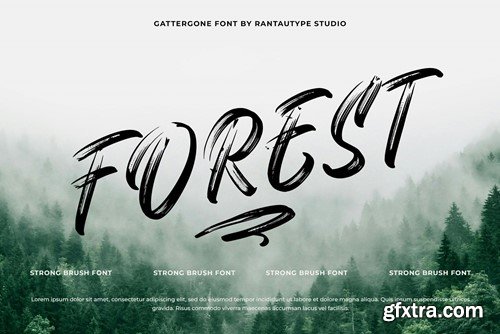 Gattergone Rough Brush Font 6QKMXFT