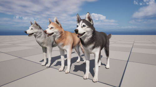 UnrealEngine - Dog - Husky