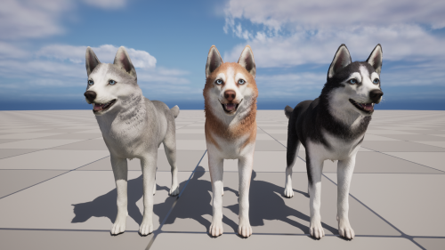 UnrealEngine - Dog - Husky