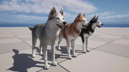 UnrealEngine - Dog - Husky