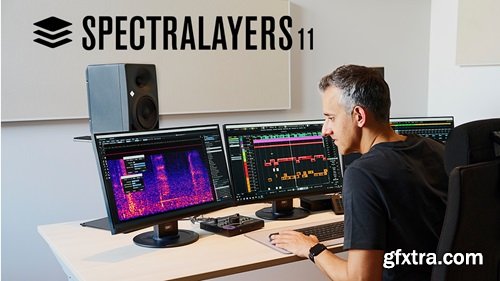 Steinberg SpectraLayers Pro v11.0