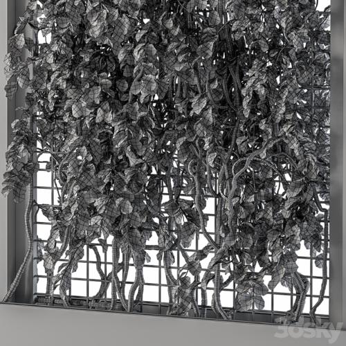 ivy Box Plants Gray