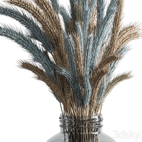 Dry plants 101 - Wheat