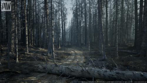 UnrealEngine - MW Burned Dead Forest Trees Biome