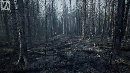 UnrealEngine - MW Burned Dead Forest Trees Biome