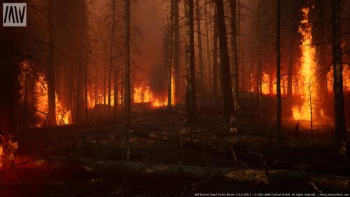 UnrealEngine - MW Burned Dead Forest Trees Biome