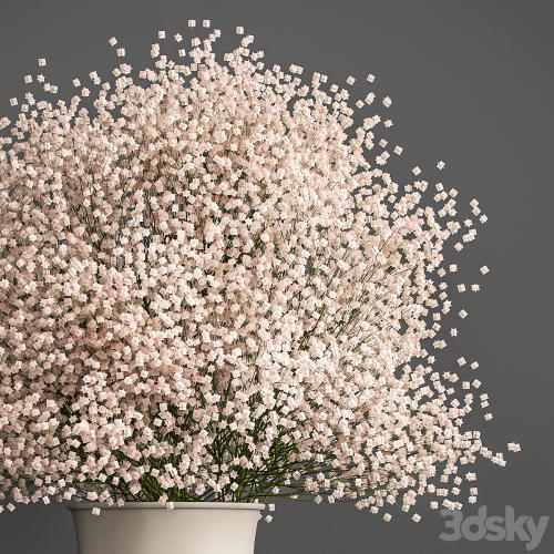 Bouquet of white flowers in a vase with Gypsophila, Gibsolyubka, Kachim. 201.