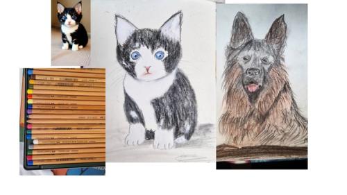 Udemy - learn to draw your pet with easily even you are not artist