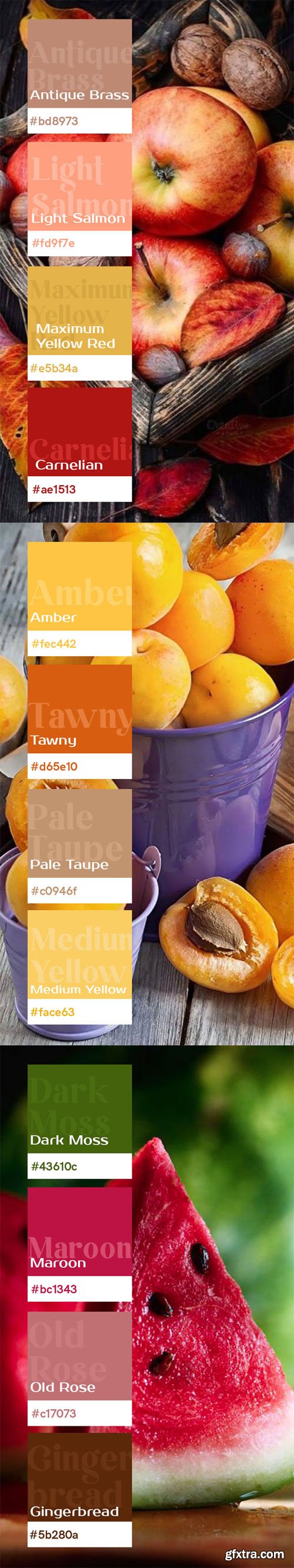 Fruit Color Palette Swatches for Photoshop