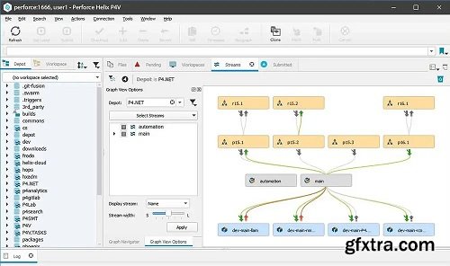 Perforce Helix Core 2024.1