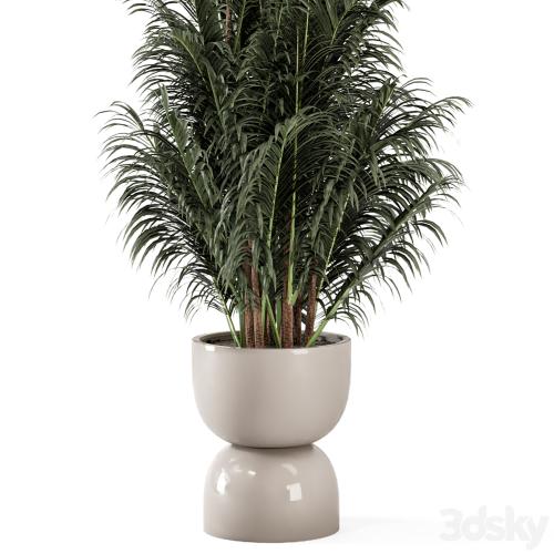 Indoor Plants in rusty Concrete Pot - Set 352