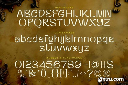 Enforia Classic Display Font CZSUQ6X