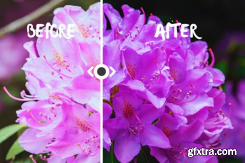 600+ SPRING Lightroom Presets Bundle